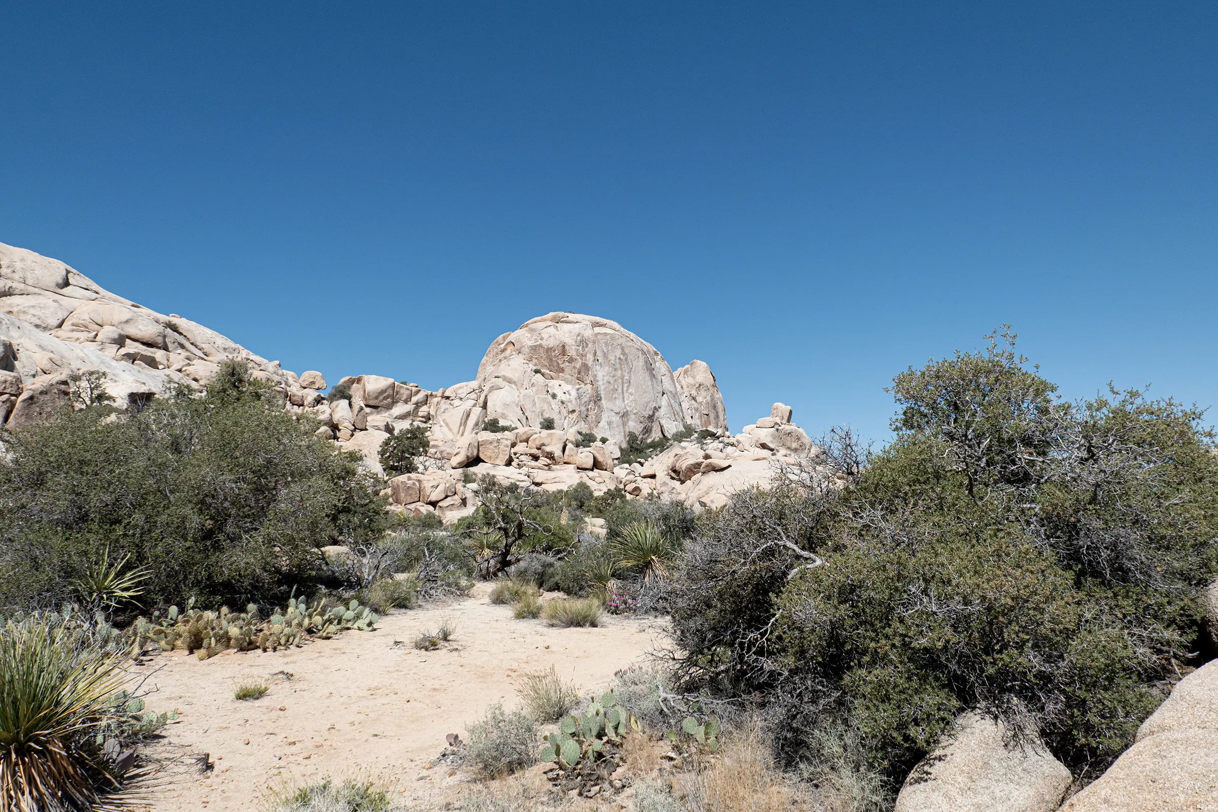 approach to astro domes in joshua tree national park