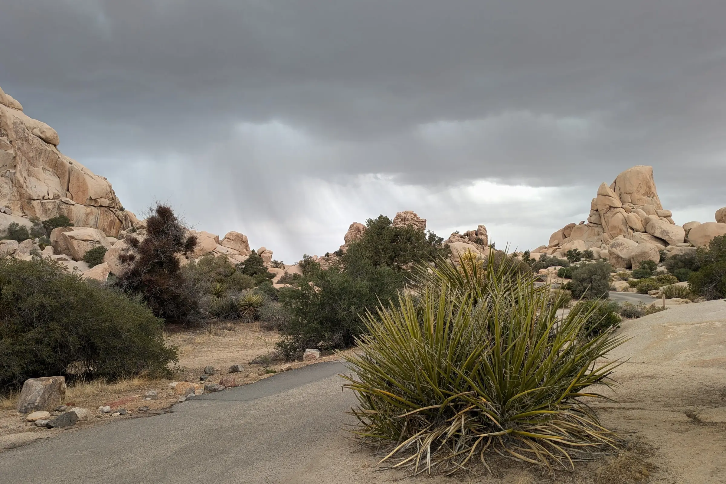 Rained Out of Red Rock